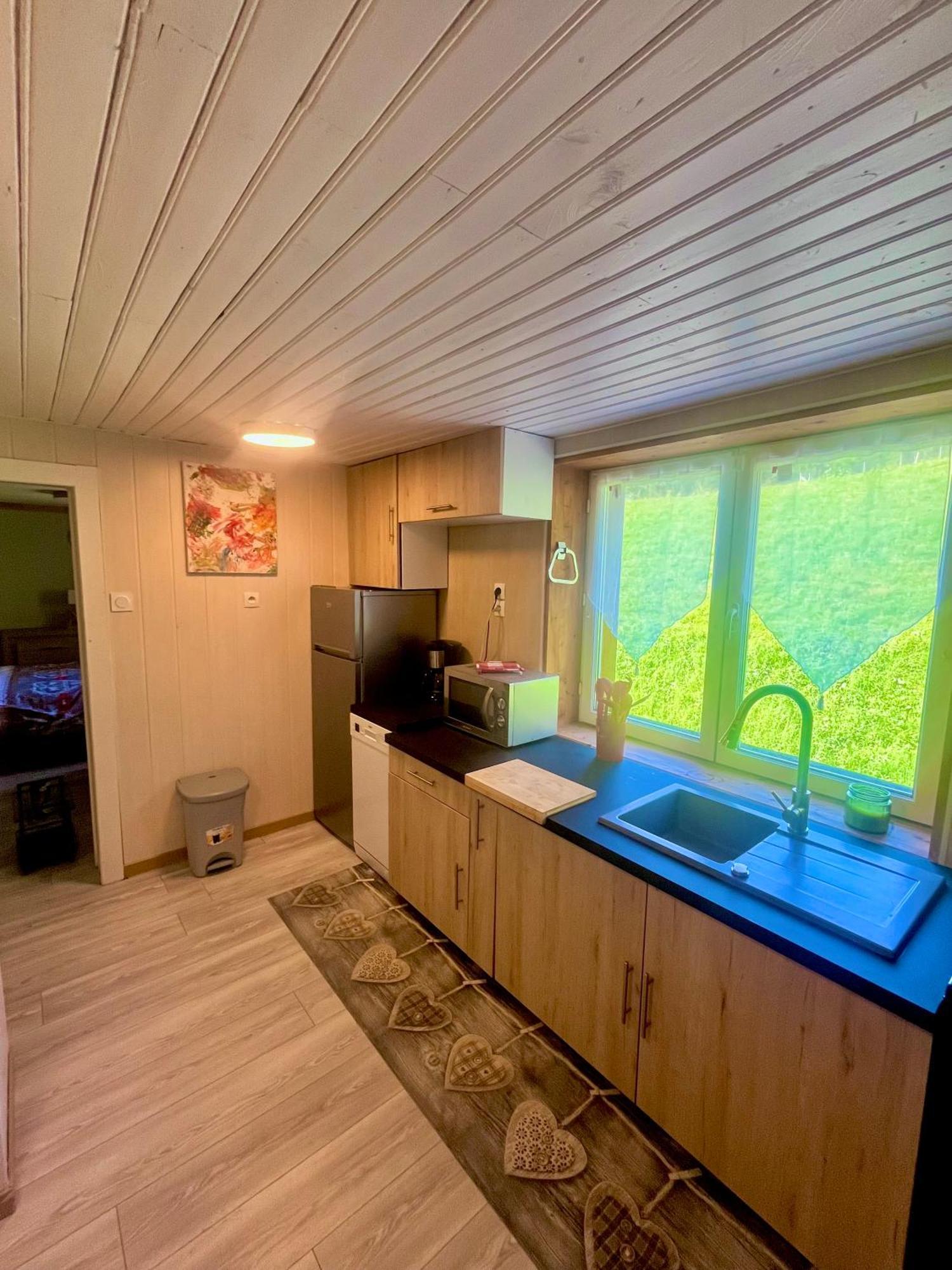 Appartement Dans Maison Familiale Bellevaux Extérieur photo